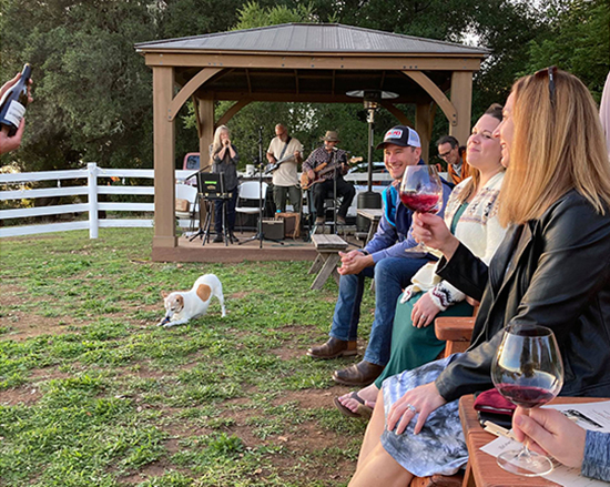 Le Vin Winery Group 2